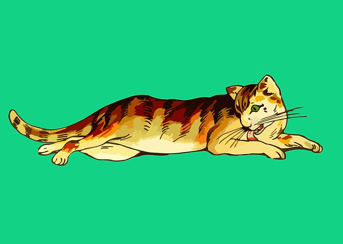 cute and funny cat art