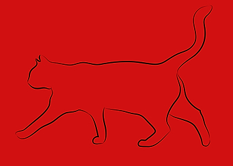cute and funny cat art