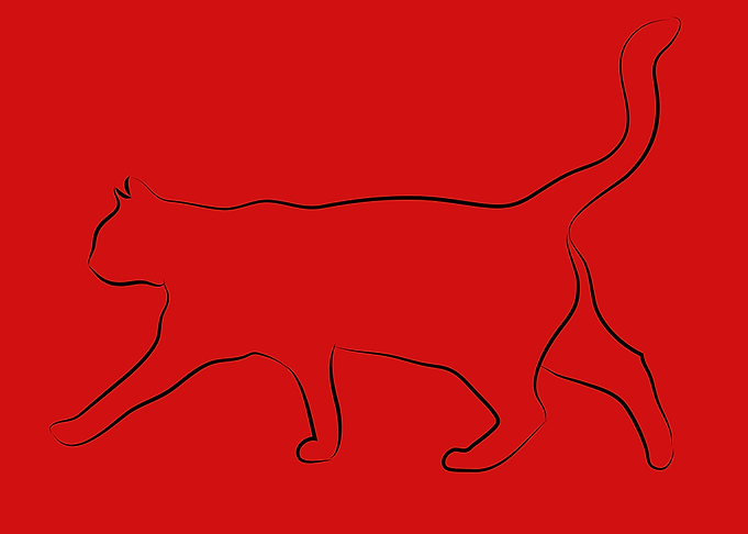 cute and funny cat art