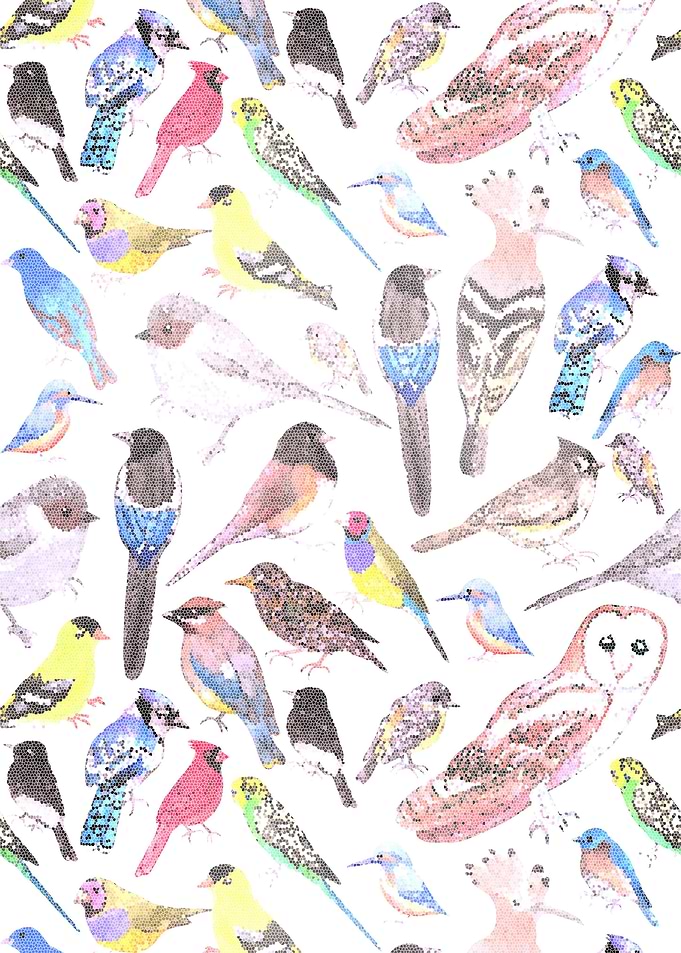 Birds of America stained