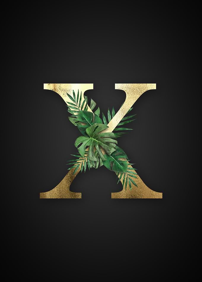 Alphabet x