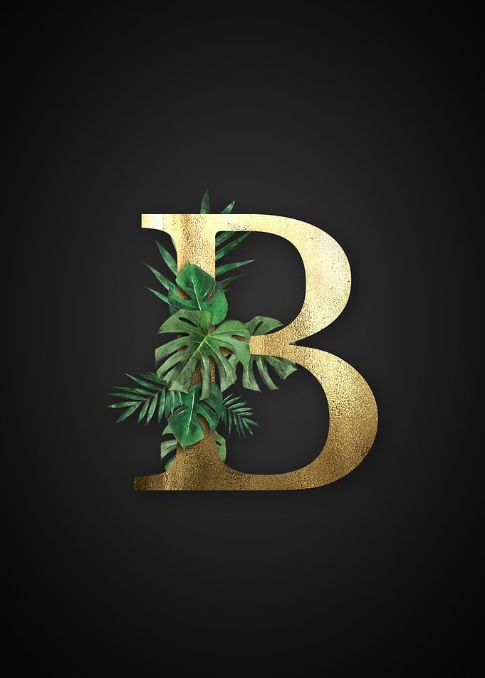 Alphabet b
