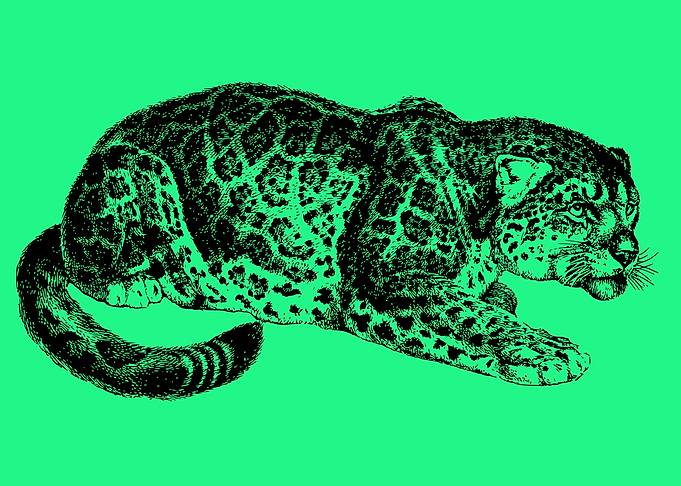tiger art