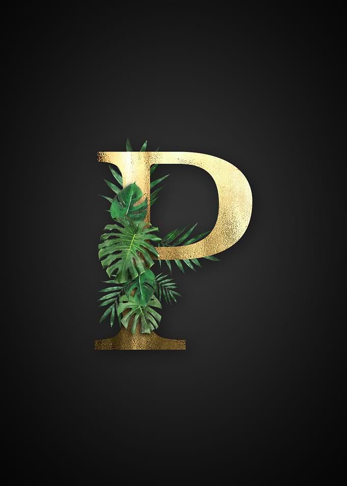 Alphabet p