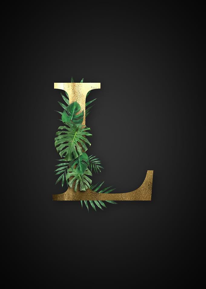 Alphabet l