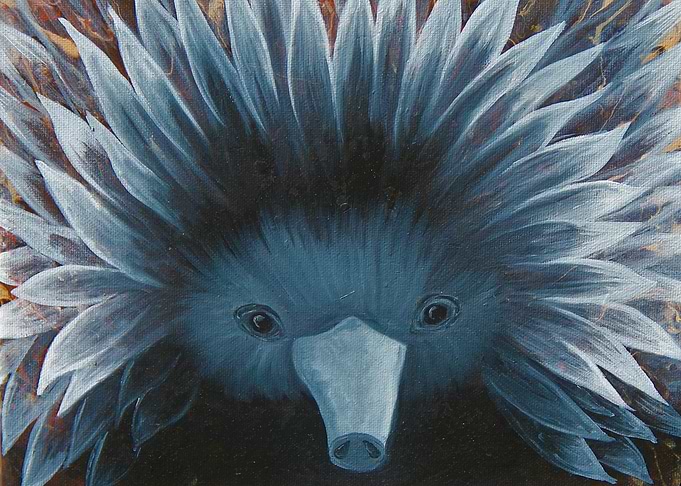 Echidna