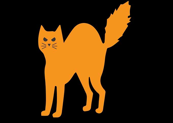 cute and funny cat art