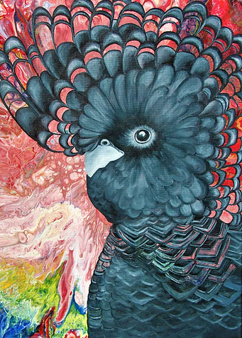 Black Cockatoo
