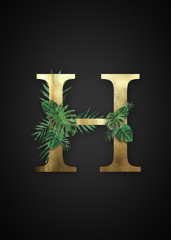 Alphabet h