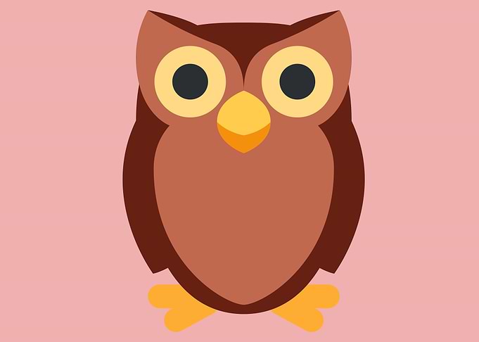 cute drawing of a bird