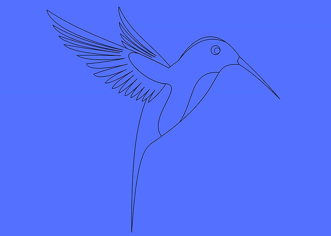 cute drawing of a bird