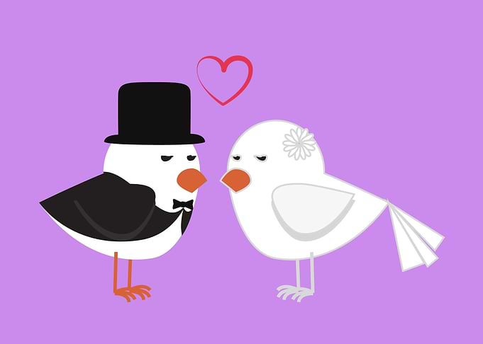 cute drawing of a bird