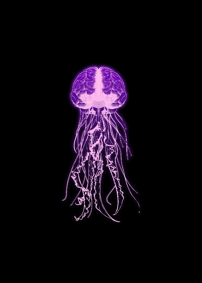 jellyfish Brain