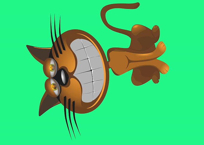 cute and funny cat art