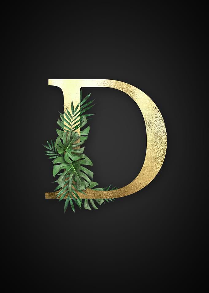Alphabet d