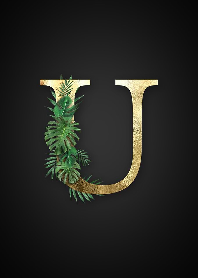 Alphabet u