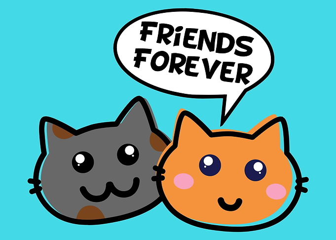 cute and funny cat art