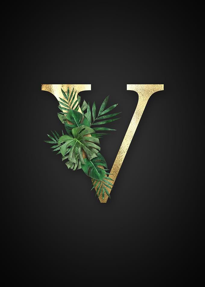 Alphabet v