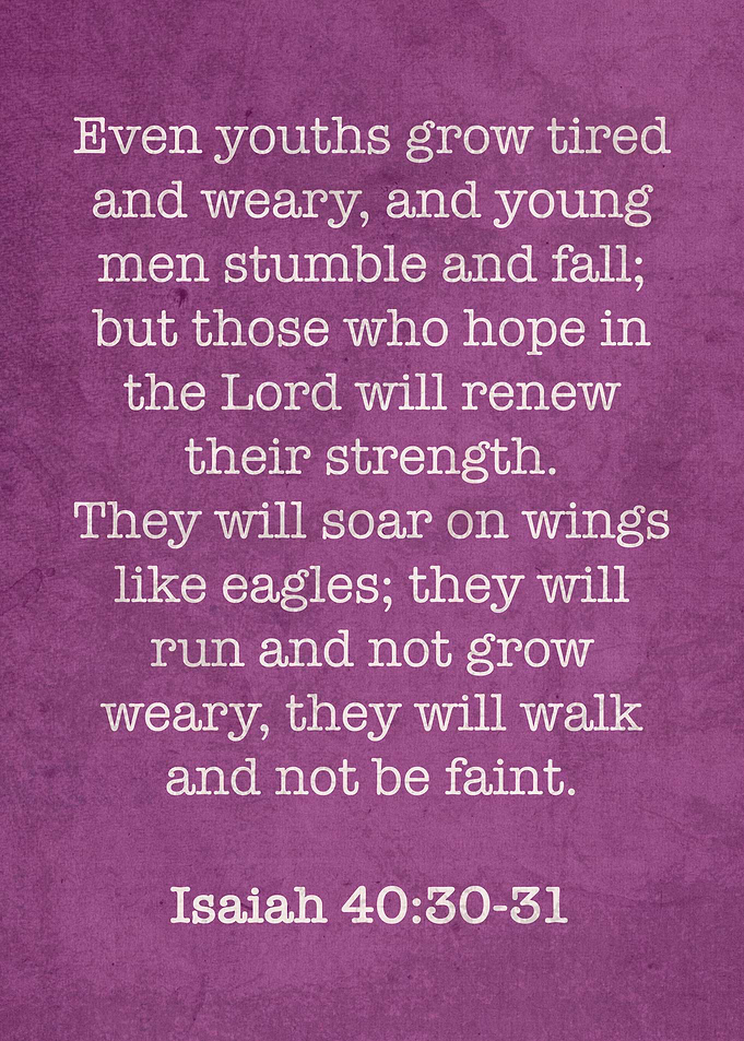 Isaiah 4031 Iconic Bible