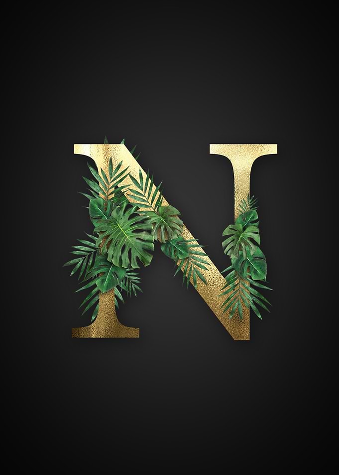 Alphabet n