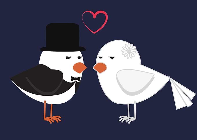 cute drawing of a bird