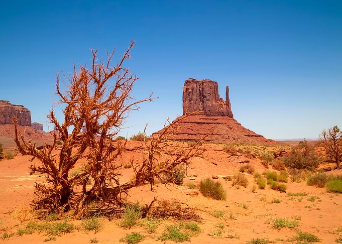 MONUMENT VALLEY Landscape