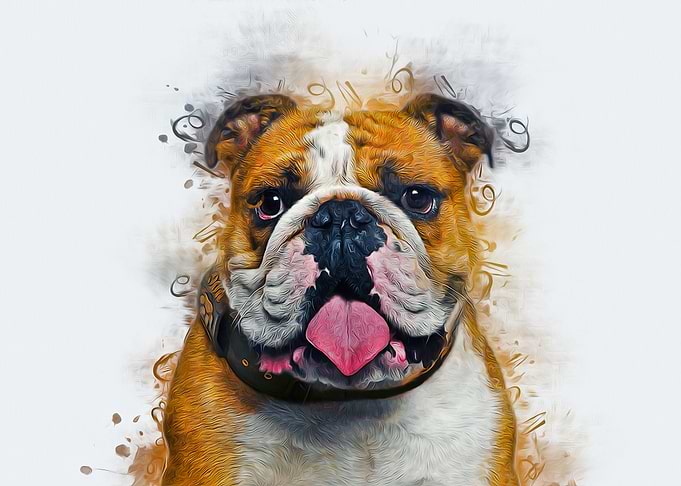 Bulldog Art