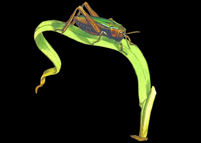 insect on the plant
