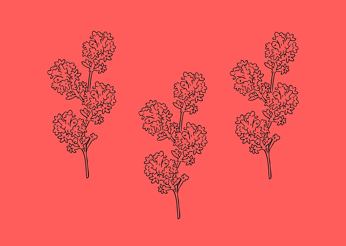 beautiful flower art