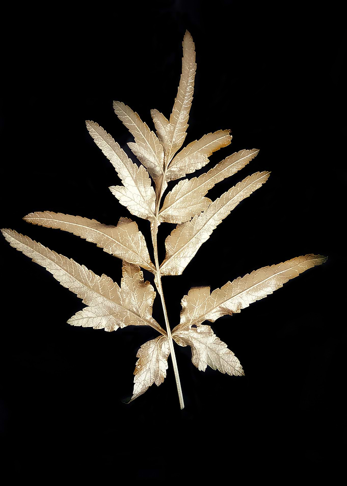 Gold leaf