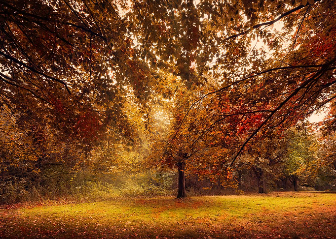 Autumn Colours