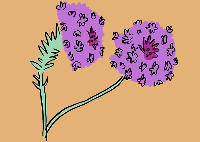 beautiful flower art