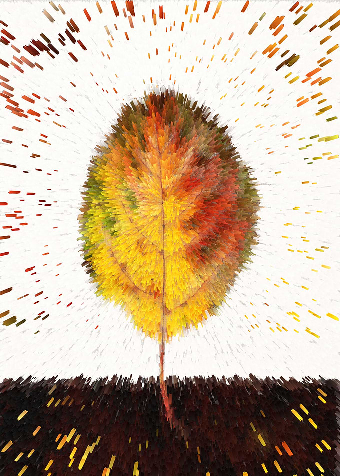leaf of autumn