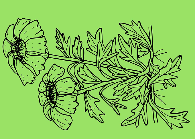 beautiful flower art