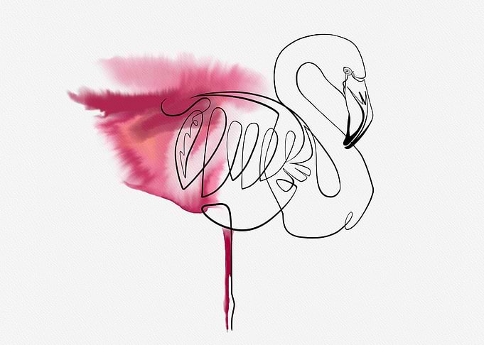 Flamingo