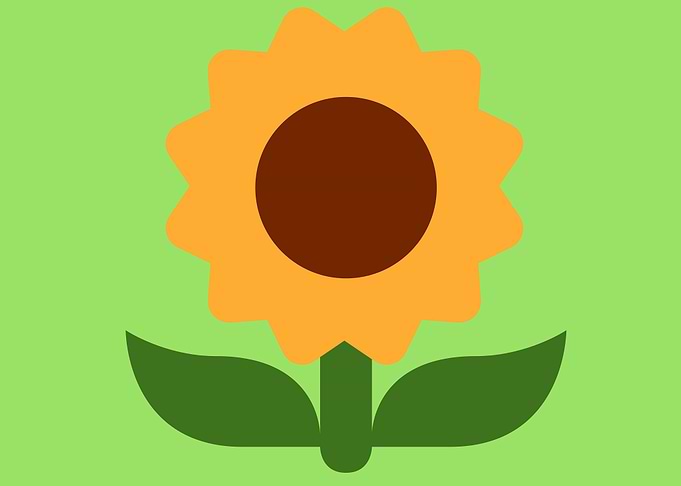 beautiful flower art