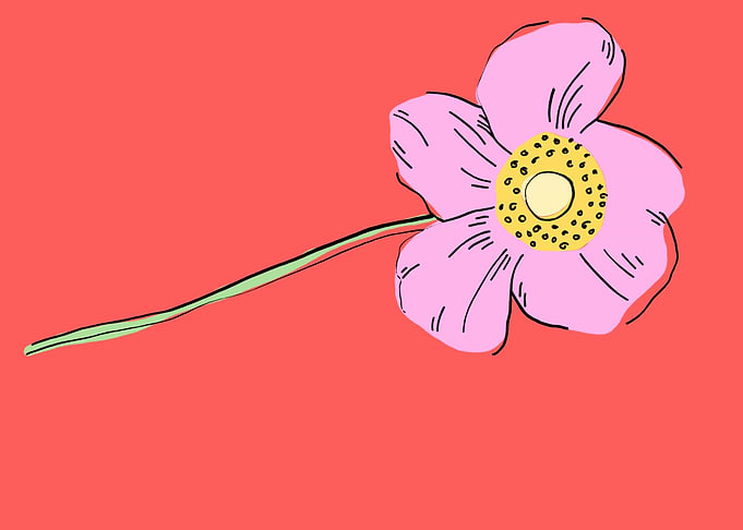 beautiful flower art