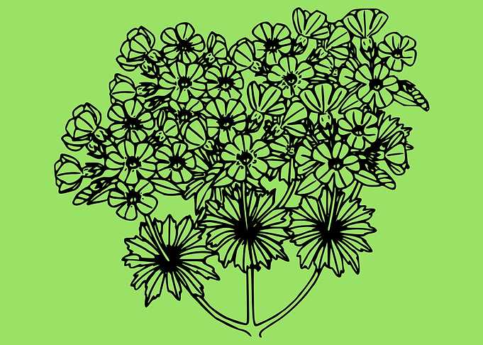 beautiful flower art