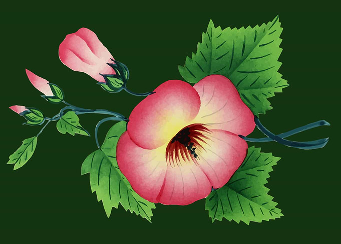 beautiful flower art