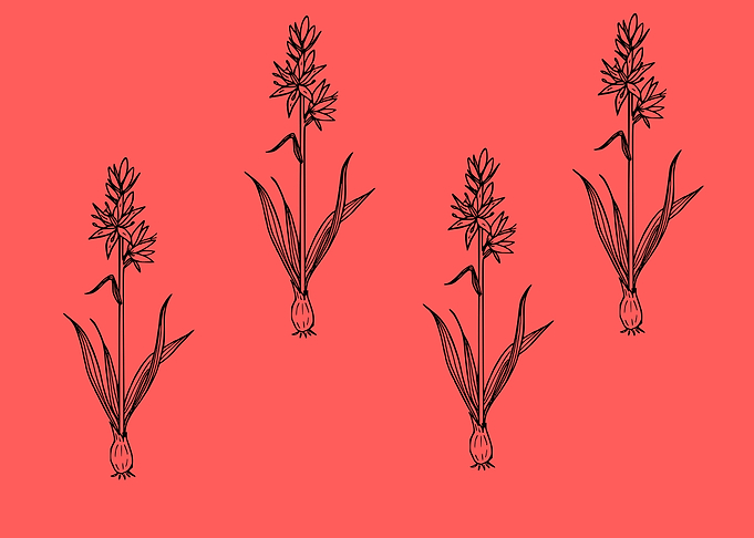 beautiful flower art