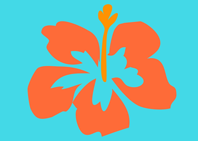 beautiful flower art