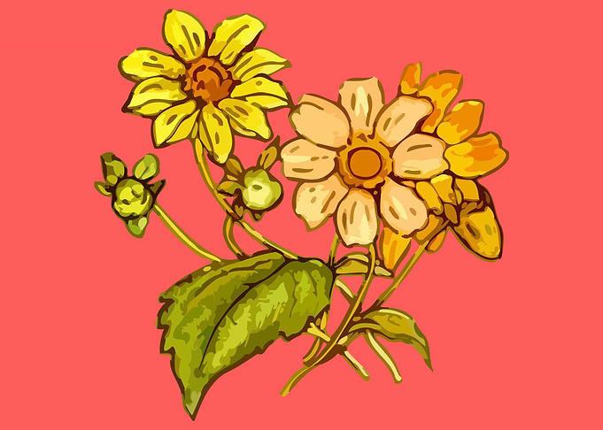 beautiful flower art