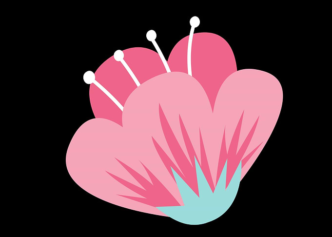 beautiful flower art