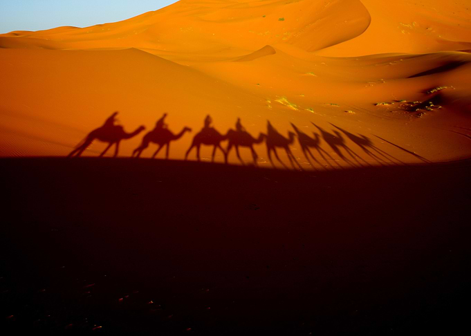 Desert walks