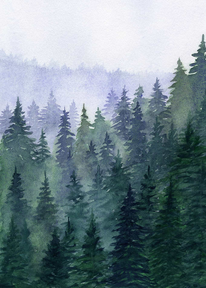 Forest Mountains III