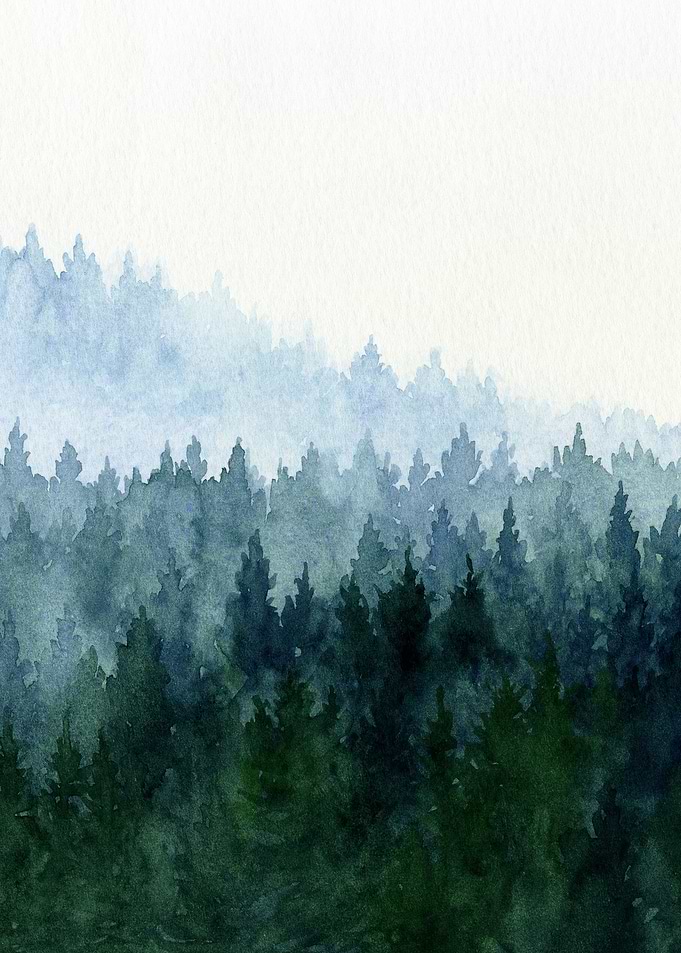 Misty Forest Hills