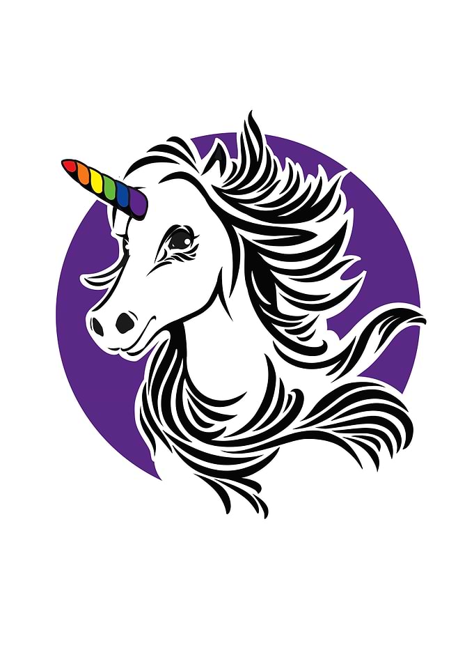 Rainbow unicorn