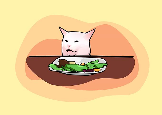 Confused Cat Meme Cartoon