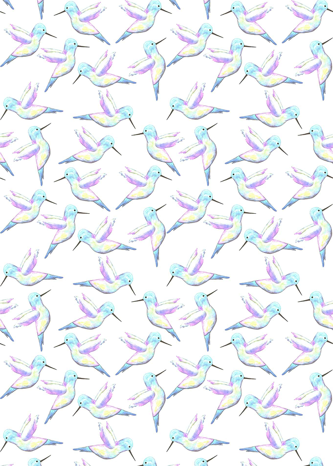 A cute Hummingbird