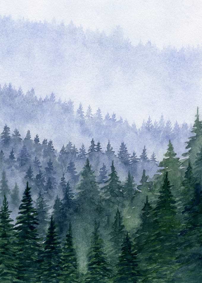 Forest Mountains II